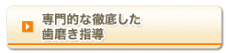 専門的な徹底した歯みがき指導